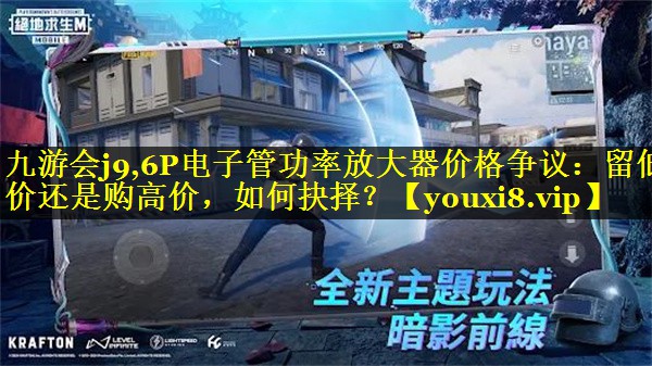 九游会j9,6P电子管功率放大器价格争议：留低价还是购高价，如何抉择？