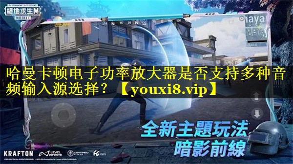 哈曼卡顿电子功率放大器是否支持多种音频输入源选择？