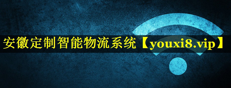 安徽定制智能物流系统