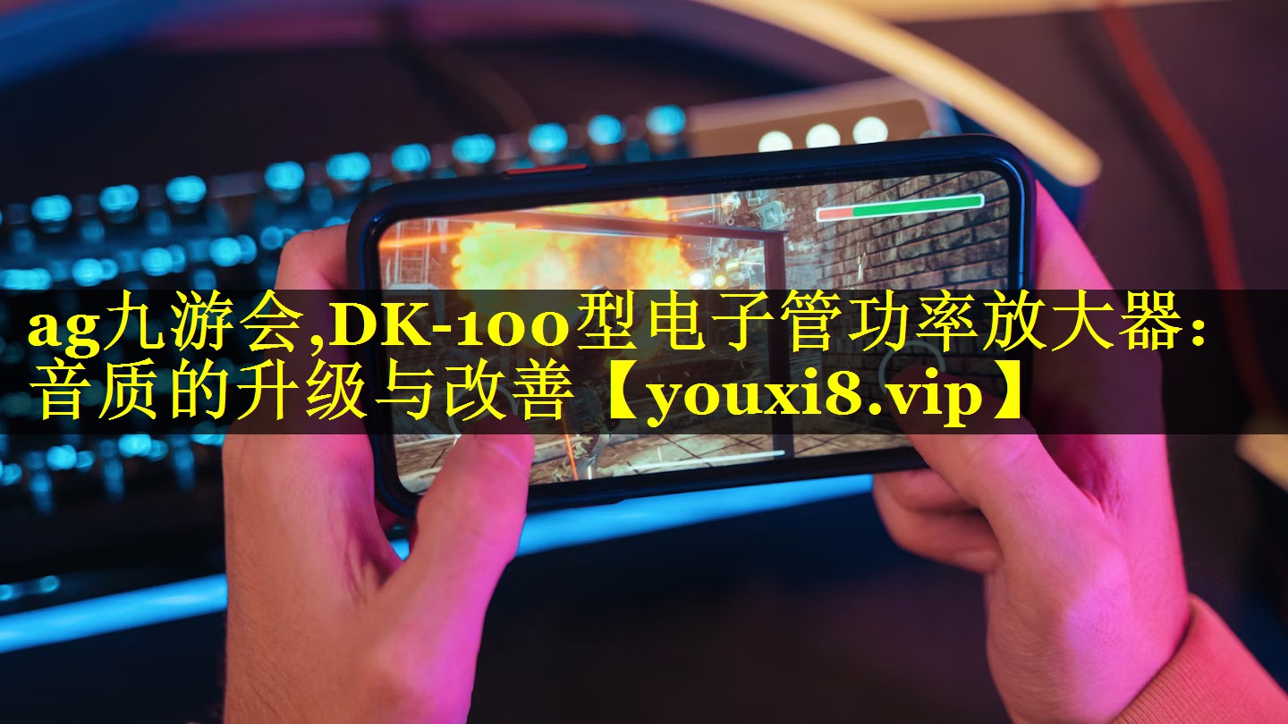 DK-100型电子管功率放大器:音质的升级与改善 DK-100型电子管功率放大器:音质的升级与改善