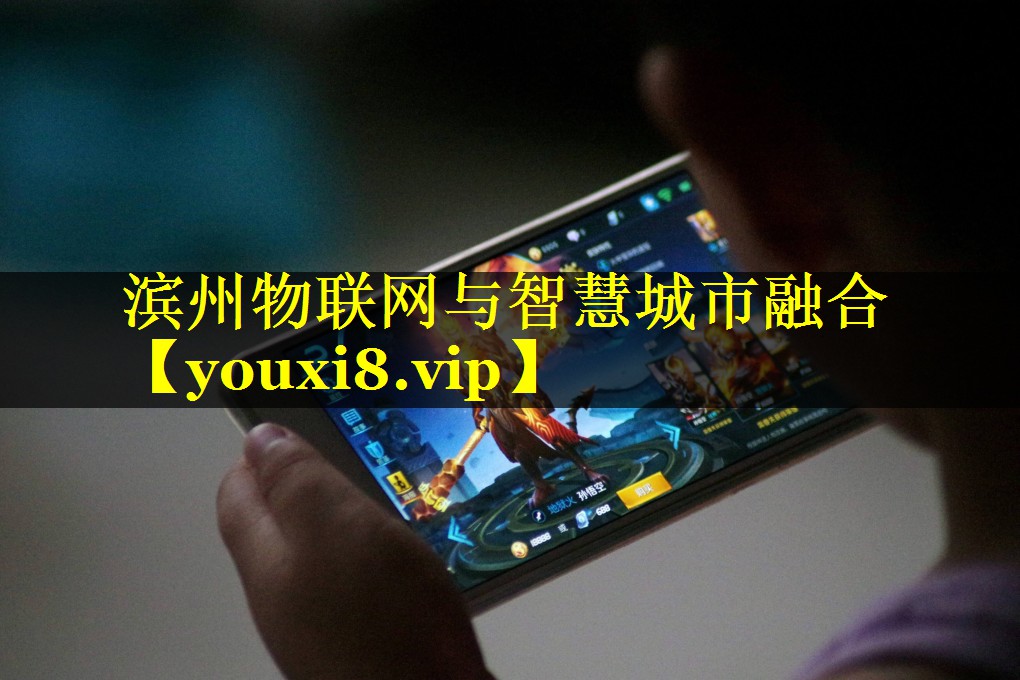 滨州物联网与智慧城市融合