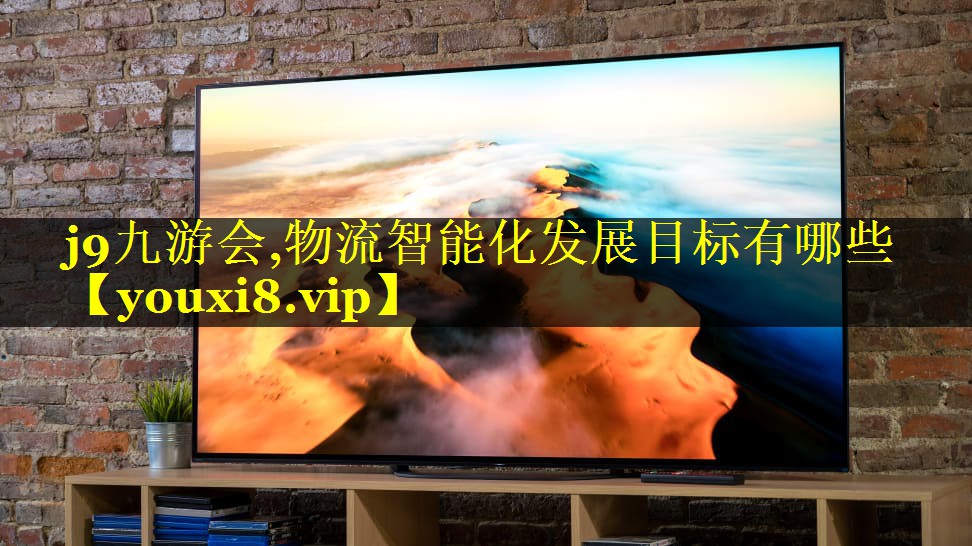 j9九游会,物流智能化发展目标有哪些